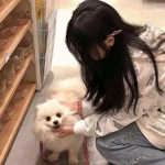 八月九灰姑娘游戏